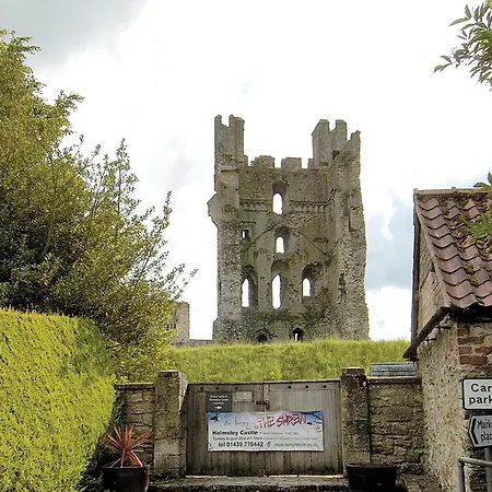 Robin - E4478 * Nawton