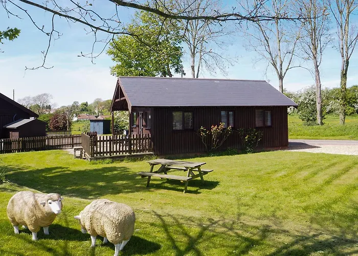 Robin - E4478 Nawton