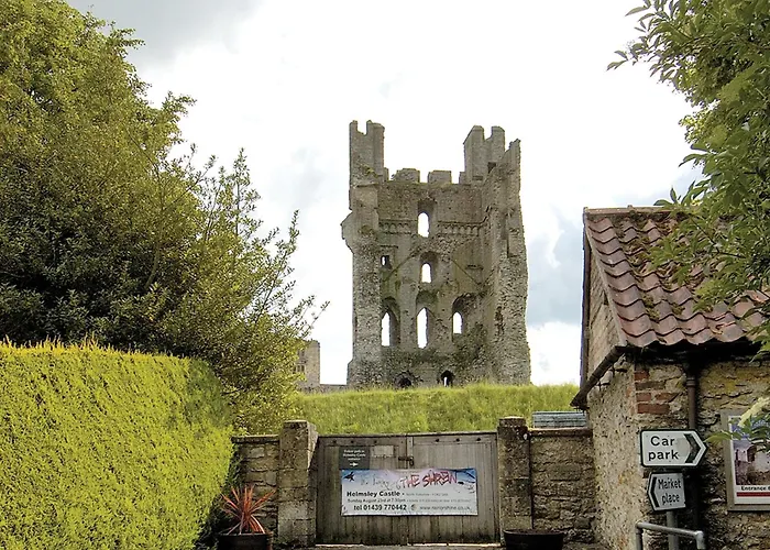 Robin - E4478 * Nawton